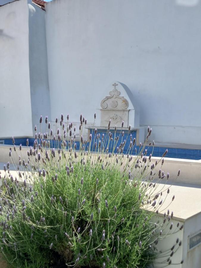 Pateo Dos Oliveira - Casa Dos Senhores Έβορα Εξωτερικό φωτογραφία